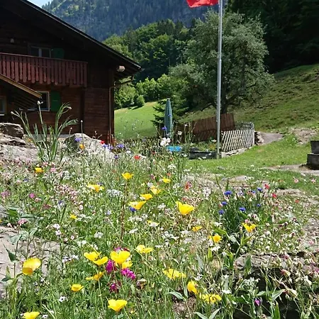 Alpenparadies - Aussergewoehnlich, Einmalig, Anders Grindelwald